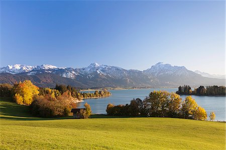 simsearch:6119-07451735,k - Forggensee Lake and Allgau Alps, Fussen, Ostallgau, Allgau, Allgau Alps, Bavaria, Germany, Europe Foto de stock - Sin royalties Premium, Código: 6119-07451724