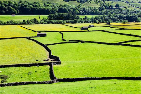 Barn and dry stone walls in meadows at Gunnerside, Swaledale, Yorkshire Dales, Yorkshire, England, United Kingdom, Europe Stock Photo - Premium Royalty-Free, Code: 6119-07453173