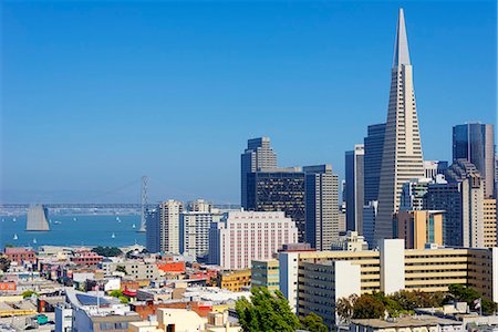 san francisco skyline - Downtown and TransAmerica Building, San Francisco, California, United States of America, North America Stock Photo - Premium Royalty-Free, Code: 6119-07651950