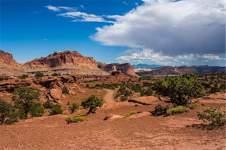 Red sandstone cliffs in the Capitol Reef National Park, Utah, United States of America, North America Stock Photo - Premium Royalty-Free, Code: 6119-07943978