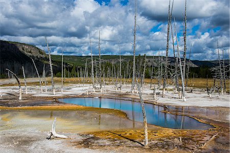simsearch:841-07913862,k - Opalescent pool in the Black Sand Basin, Yellowstone National Park, UNESCO World Heritage Site, Wyoming, United States of America, North America Stock Photo - Premium Royalty-Free, Code: 6119-07944024