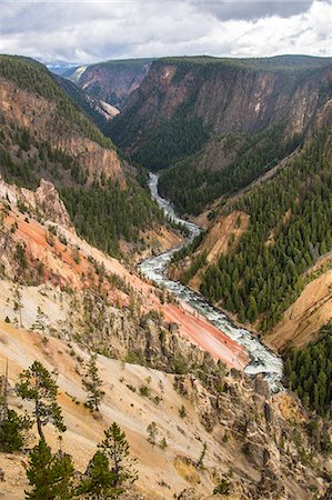 simsearch:841-07913862,k - The colourful Grand Canyon of the Yellowstone, Yellowstone National Park, UNESCO World Heritage Site, Wyoming, United States of America, North America Stock Photo - Premium Royalty-Free, Code: 6119-07944031