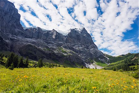 Wetterhorn 3692m, Jungfrau-Aletsch, UNESCO World Heritage Site, Swiss Alps, Switzerland, Europe Photographie de stock - Premium Libres de Droits, Code: 6119-08062189