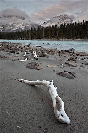 drift wood - Snow-covered driftwood along the Athabasca River, Jasper National Park, UNESCO World Heritage Site, Alberta, Canada, North America Stock Photo - Premium Royalty-Free, Code: 6119-08062257