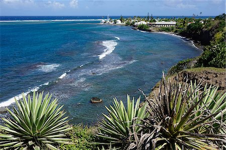 spike - Atlantic coast, St. Kitts, St. Kitts and Nevis, Leeward Islands, West Indies, Caribbean, Central America Stock Photo - Premium Royalty-Free, Code: 6119-08170250