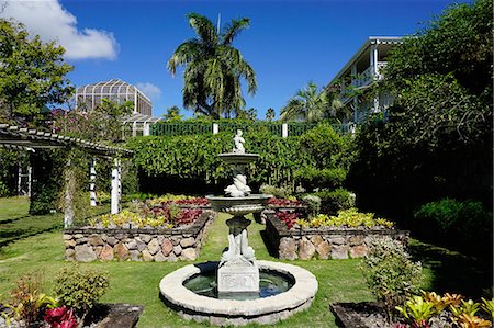simsearch:600-03004987,k - Nevis Botanical Garden, Nevis, St. Kitts and Nevis, Leeward Islands, West Indies, Caribbean, Central America Stock Photo - Premium Royalty-Free, Code: 6119-08170235