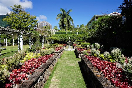 platebandes de fleur - Nevis Botanical Garden, Nevis, St. Kitts and Nevis, Leeward Islands, West Indies, Caribbean, Central America Photographie de stock - Premium Libres de Droits, Code: 6119-08170236