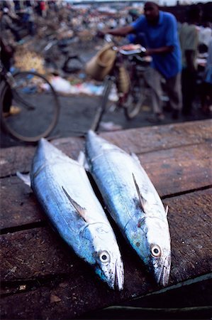 simsearch:862-06543210,k - Two fish for sale at the daily morning fish market, Stone Town, island of Zanzibar, Tanzania, East Africa, Africa Stock Photo - Premium Royalty-Free, Code: 6119-08266396