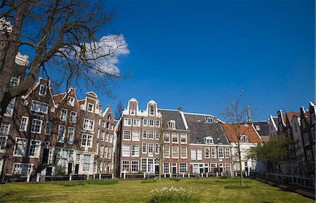 Begijnhof, a beautiful square of 17th and 18th century houses, Amsterdam, Netherlands, Europe Stock Photo - Premium Royalty-Free, Code: 6119-08266592