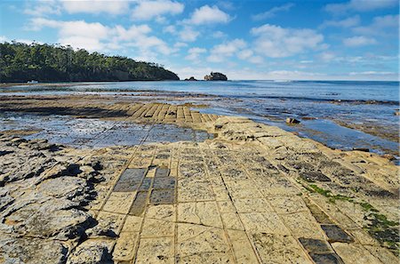 Tessellated Pavement, Pirates Bay, Tasman Peninsula, Tasmania, Australia, Pacific Stock Photo - Premium Royalty-Free, Code: 6119-08268659