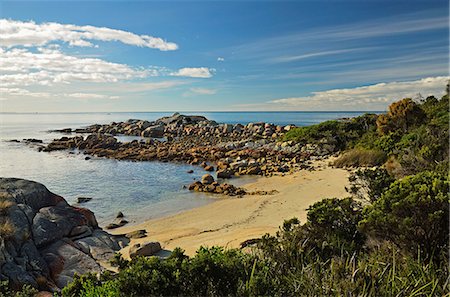 simsearch:841-05783557,k - Beach at St. Helens Conservation Area, St. Helens, Tasmania, Australia, Pacific Stock Photo - Premium Royalty-Free, Code: 6119-08268671