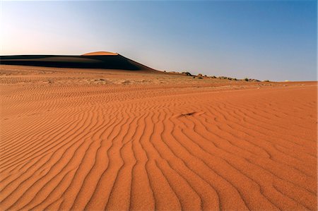 sparse - The shapes of sand constantly shaped by the wind, Deadvlei, Sossusvlei, Namib Desert, Namib Naukluft National Park, Namibia, Africa Stock Photo - Premium Royalty-Free, Code: 6119-08351237