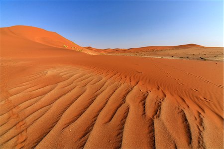 simsearch:862-03365353,k - The shapes of sand constantly shaped by the wind, Deadvlei, Sossusvlei, Namib Desert, Namib Naukluft National Park, Namibia, Africa Stock Photo - Premium Royalty-Free, Code: 6119-08351235