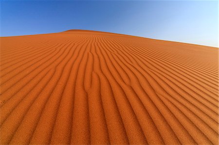 simsearch:862-03365353,k - The shapes of sand constantly shaped by the wind, Deadvlei, Sossusvlei, Namib Desert, Namib Naukluft National Park, Namibia, Africa Stock Photo - Premium Royalty-Free, Code: 6119-08351236