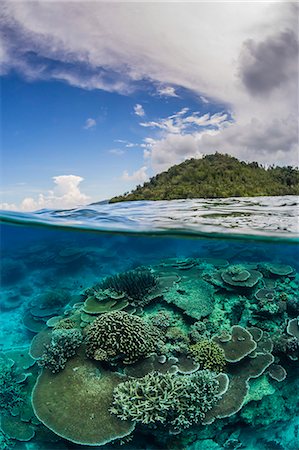 reefs - Half above and half below view of coral reef at Pulau Setaih Island, Natuna Archipelago, Indonesia, Southeast Asia, Asia Foto de stock - Sin royalties Premium, Código: 6119-08420382