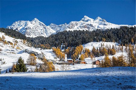 sur - Snowy landscape and colorful trees in the small village of Sur, Val Sursette, Canton of Graubunden, Switzerland, Europe Stock Photo - Premium Royalty-Free, Code: 6119-08420417