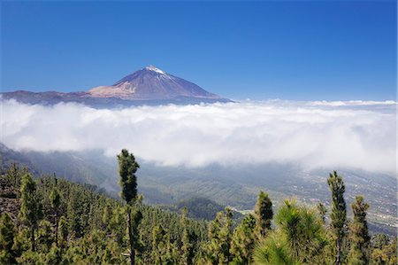 View over Orotava Valley to Pico del Teide, National Park Teide, UNESCO World Heritage Site, Tenerife, Canary Islands, Spain, Europe Stock Photo - Premium Royalty-Free, Code: 6119-08517988