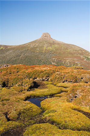 pictures overland track - View from Mount Ossa, 1617m, Tasmania's highest mountain on the Overland Track, Cradle Mountain Lake St. Clair National Park, part of Tasmanian Wilderness, UNESCO World Heritage Site, Tasmania, Australia, Pacific Stock Photo - Premium Royalty-Free, Code: 6119-08740396