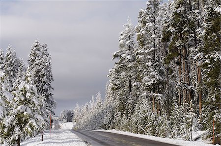 simsearch:841-03505868,k - Yellowstone National Park in winter, UNESCO World Heritage Site, Wyoming, United States of America, North America Stock Photo - Premium Royalty-Free, Code: 6119-08740541