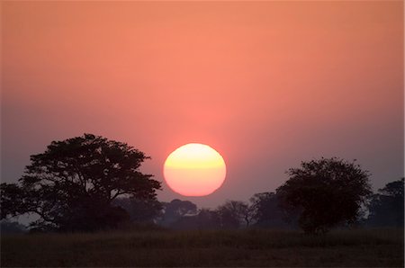 simsearch:862-03355195,k - Sunset, Busanga Plains, Kafue National Park, Zambia, Africa Stock Photo - Premium Royalty-Free, Code: 6119-08740578