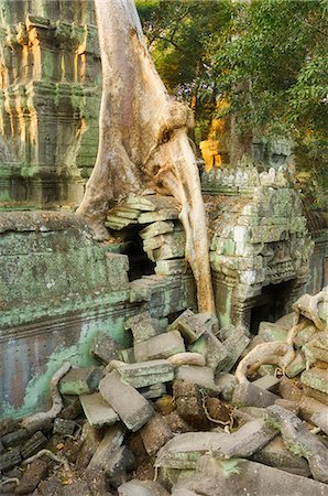 Ta Prohm temple, Angkor, UNESCO World Heritage Site, Siem Reap, Cambodia, Indochina, Southeast Asia, Asia Stock Photo - Premium Royalty-Free, Code: 6119-08740987