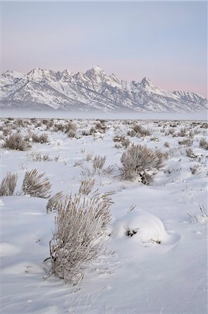 simsearch:841-03505868,k - Teton Range at Dawn in winter, Grand Teton National Park, Wyoming, United States of America, North America Stock Photo - Premium Royalty-Free, Code: 6119-08741074