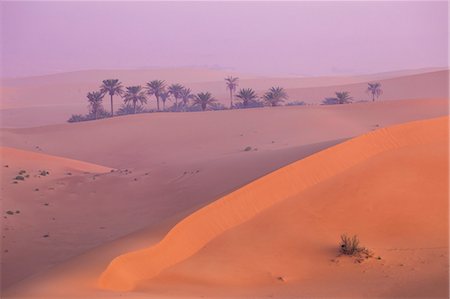 Remah Desert, Al Ain, Abu Dhabi, United Arab Emirates, Middle East Stock Photo - Premium Royalty-Free, Code: 6119-08797105