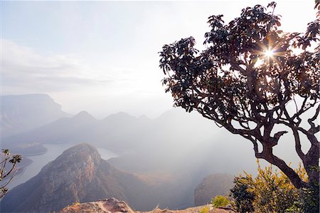 rock formation mpumalanga - Blyde River Canyon Nature Reserve at sunrise, Mpumalanga, South Africa, Africa Stock Photo - Premium Royalty-Free, Code: 6119-08797467