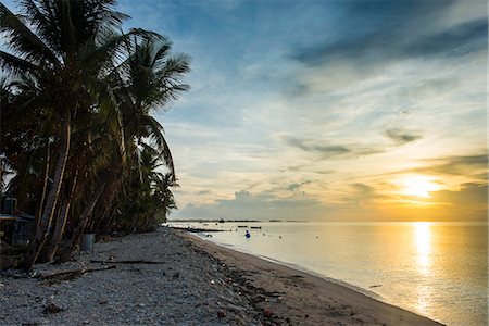 south pacific - Public beach at sunset, Funafuti, Tuvalu, South Pacific Foto de stock - Sin royalties Premium, Código: 6119-08803311