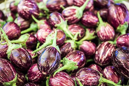 simsearch:630-07071163,k - Eggplant (aubergines) for sale in Chaudi Market, Goa, India, Asia Stock Photo - Premium Royalty-Free, Code: 6119-09073805