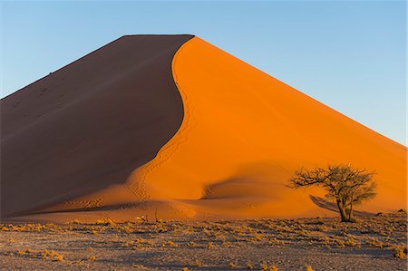 simsearch:873-06440466,k - Giant Sand Dune 45, Sossusvlei, Namib-Naukluft National Park, Namibia, Africa Stock Photo - Premium Royalty-Free, Code: 6119-09074306