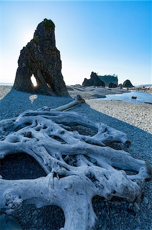 decay (not organic) - Driftwood and sea stacks on Ruby Beach in the Olympic National Park, UNESCO World Heritage Site, Pacific Northwest coast, Washington State, United States of America, North America Stock Photo - Premium Royalty-Free, Code: 6119-09074863