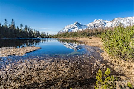 Snowy peaks reflected in Lake Entova, Malenco Valley, province of Sondrio, Valtellina, Lombardy, Italy, Europe Stock Photo - Premium Royalty-Free, Code: 6119-09147189