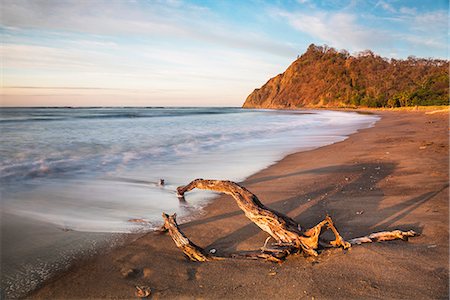 drift wood - Playa Buena Vista Beach at sunrise, Guanacaste Province, Costa Rica, Central America Stock Photo - Premium Royalty-Free, Code: 6119-09147235