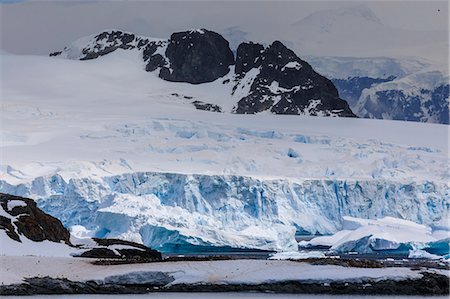 simsearch:693-03301867,k - Penguin colonies, icebergs and glaciers, Cuverville Island, Errera Channel, Danco Coast, Antarctic Peninsula, Antarctica, Polar Regions Stock Photo - Premium Royalty-Free, Code: 6119-09156456