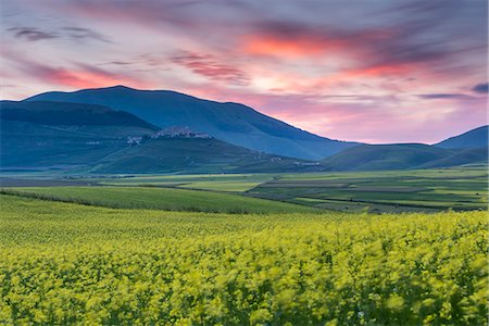 Flowering lentils on the Piano Grande, looking towards Castelluccio di Norcia, sunset, Monte Sibillini, Umbria, Italy, Europe Stock Photo - Premium Royalty-Free, Code: 6119-09156472