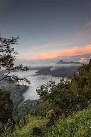 Morning view at Mount Bromo, East Java, Indonesia, Southeast Asia, Asia Stock Photo - Premium Royalty-Free, Code: 6119-09156584