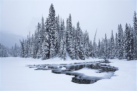 rocky mountain states - Snow-covered winter forest with frozen lake, Emerald Lake, Yoho National Park, UNESCO World Heritage Site, British Columbia, The Rockies, Canada, North America Stock Photo - Premium Royalty-Free, Code: 6119-09156526