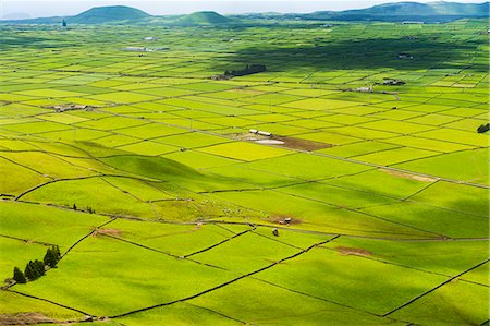 Serra do Cume Viewpoint overlooking the patchwork of green pastures, Island of Terceira, Azores, Portugal, Atlantic, Europe Stock Photo - Premium Royalty-Free, Code: 6119-09170133