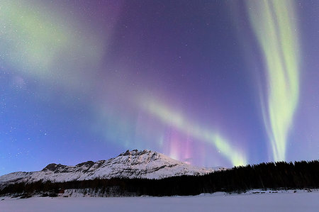 Northern Lights (Aurora borealis), Skoddebergvatnet, Grovfjord, Troms county, Lofoten Islands, Nordland, Norway, Europe Photographie de stock - Premium Libres de Droits, Code: 6119-09182537