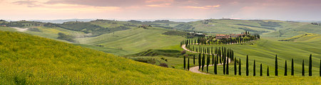 simsearch:862-03712243,k - Panoramic view of sunset over the Agriturismo Baccoleno and winding path with cypress trees, Asciano in Tuscany, Italy, Europe Stock Photo - Premium Royalty-Free, Code: 6119-09182802