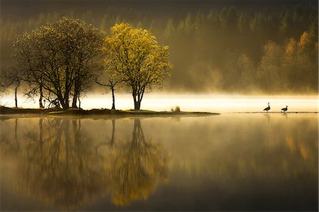 dreamy - Autumn at Loch Ard, Trossachs National Park, Stirling Region, Scotland, United Kingdom, Europe Stock Photo - Premium Royalty-Free, Code: 6119-09126967