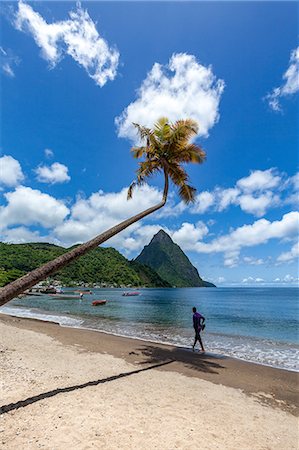 Man walking under a lone palm on the beach at Soufriere with Petit Piton in the distance, St. Lucia, Windward Islands, West Indies Caribbean, Central America Stock Photo - Premium Royalty-Free, Code: 6119-09127139
