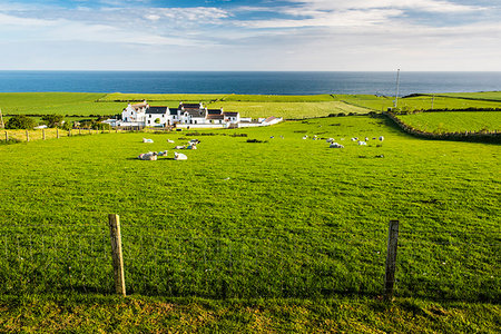 simsearch:841-08860890,k - Countryside on the Antrim Coast, Country Antrim, Ulster, Northern Ireland, United Kingdom, Europe Stock Photo - Premium Royalty-Free, Code: 6119-09203234