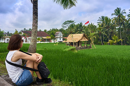 Looking over green rice fields on the Sari Organic Walk in Ubud, Bali, Indonesia, Southeast Asia, Asia Stock Photo - Premium Royalty-Free, Code: 6119-09229040