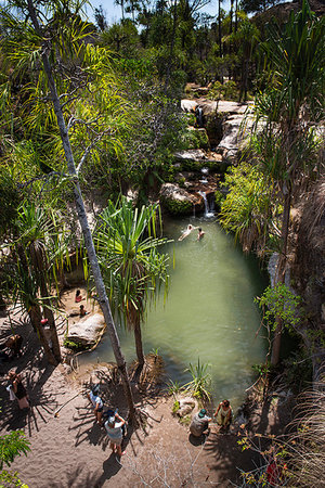 Oasis in Isalo National Park, Ihorombe Region, Southwest Madagascar, Africa Stock Photo - Premium Royalty-Free, Code: 6119-09238577