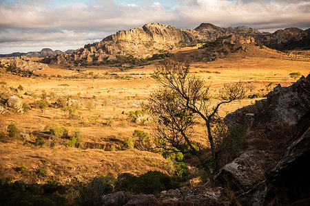 Isalo National Park landscape at sunrise, Ihorombe Region, Madagascar, Africa Stock Photo - Premium Royalty-Free, Code: 6119-09238586