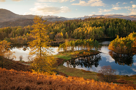 simsearch:841-07590500,k - Autumn afternoon light at Tarn Hows, Lake District National Park, UNESCO World Heritage Site, Cumbria, England, United Kingdom, Europe Stock Photo - Premium Royalty-Free, Code: 6119-09239126