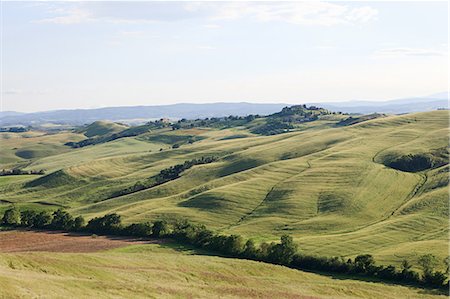 simsearch:649-07064003,k - Rolling landscape near Siena, Tuscany, Italy Photographie de stock - Premium Libres de Droits, Code: 6122-07695393