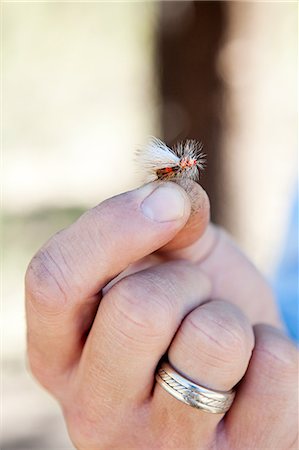 simsearch:700-01538773,k - Man holding imitation fly for fishing, Colorado, USA Stock Photo - Premium Royalty-Free, Code: 6122-07697405